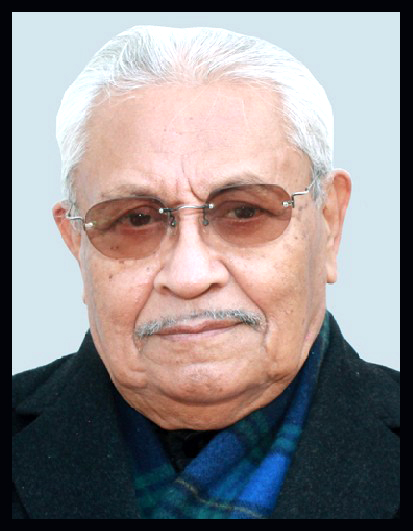 Professor Nirmal Man Tuladhar